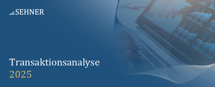 Analyse M&A Transaktionen 2025